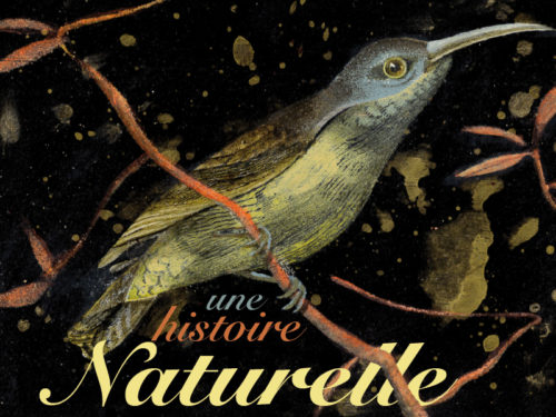 Visuel résidence d'écriture "Une histoire naturelle" avec Cécile Gambini