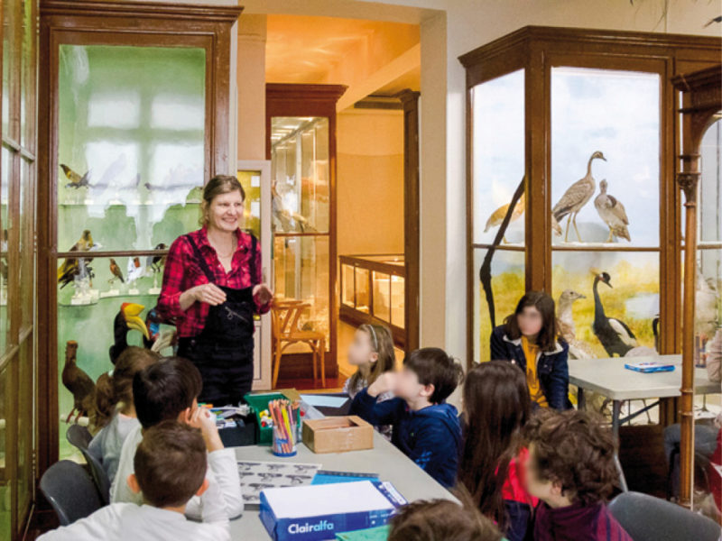 Cécile Gambini en résidence à Montauban (2019)