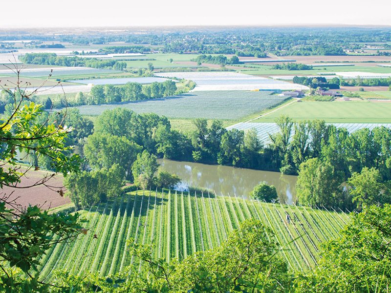 Sur le territoire